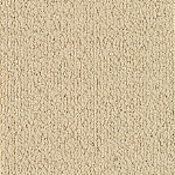 Color Pop Tile Toasted Almond